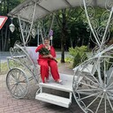 ���������� �����������, ���� ������� �������, 61 ���, ������������ ��� ������, ����� � ���������