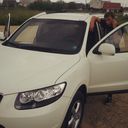 ���������� �����, ���� ������� ���������, 33 ����, ������������ ��� ������