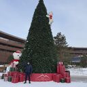 ���������� �����������, ���� ������� ��������, 46 ���, ������������ ��� ������, ����� � ���������, c�������� ���������