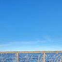 ���������� �����-���������, ���� ������� �������, 37 ���, ������������ ��� ������, ����� � ���������