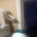 ���������� ������������, ���� ������� ��� � �, 24 ����, ������������ ��� ���������