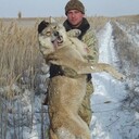 ���������� ���������, ���� ������� �����, 39 ���, ������������ 