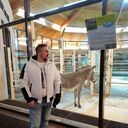 ���������� ������, ���� ������� �������, 43 ����, ������������ ��� ������, ����� � ���������