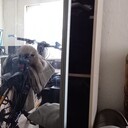 ���������� ��������������, ���� ������� ���, 37 ���, ������������ ��� ������, ����� � ���������