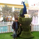 ���������� ������, ���� ������� ���, 49 ���, ������������ ��� ������, ����� � ���������, c�������� ���������