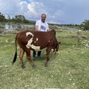  Tabuk,   , 47 ,   ,   , c , 