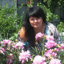 ���������� �����, ���� ������� ������, 50 ���, ������������ ��� ������, ����� � ���������, c�������� ���������