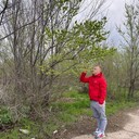 ���������� ������, ���� ������� ������, 31 ���, ������������ ��� ������, ����� � ���������