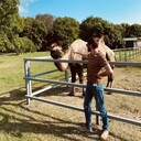 ���������� �����, ���� ������� ������, 36 ���, ������������ ��� ����� � ���������, c�������� ���������