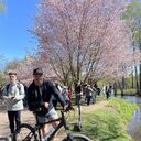 ���������� ������, ���� ������� ��������, 38 ���, ������������ ��� ������, ����� � ���������