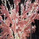 ���������� �����������, ���� ������� �������, 40 ���, ������������ ��� ������, ����� � ���������, c�������� ���������