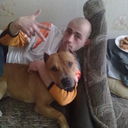 ���������� �����������, ���� ������� Vissi Darte, 41 ���, ������������ 