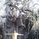 ���������� ����, ���� ������� Rasad, 46 ���, ������������ ��� ������, ����� � ���������