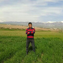 ���������� �����, ���� ������� ������, 35 ���, ������������ ��� ������, ����� � ���������