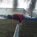  ,   , 28 ,   ,   , c , 