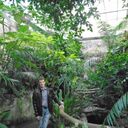 ���������� ������ ��������, ���� ������� �������, 40 ���, ������������ ��� ������, ����� � ���������