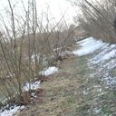 ���������� ������, ���� ������� Hasan, 39 ���, ������������ ��� ������, ����� � ���������