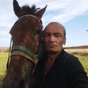  ,   , 55 ,   ,   , 