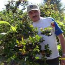  ,   , 57 ,   ,   , c 