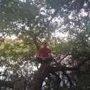 ���������� ���������, ���� ������� �����, 37 ���, ������������ ��� ������, ����� � ���������, c�������� ���������