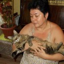  --,   , 62 ,     , c 
