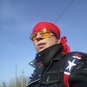  ,   Fish, 37 ,   ,   , c 