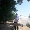  ,   , 41 ,   ,   , c 