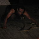  ,   89084206077, 51 ,  