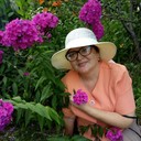  ,   , 62 ,     , c 