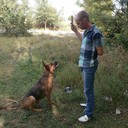 ���������� ��������������, ���� ������� ���e�, 40 ���, ������������ ��� ������, ����� � ���������, c�������� ���������