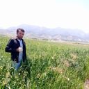 ���������� ������, ���� ����� SirojovN, 24 ����, ������������ ��� ������, ����� � ���������