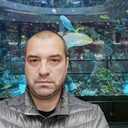 ���������� �����������, ���� ������� �����, 43 ����, ������������ ��� ������, ���������