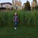  ,   , 55 ,   c , 