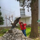 ���������� ���������, ���� ������� �������, 45 ���, ������������ ��� ������