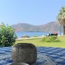 ���������� ������, ���� ������� Freedom, 46 ���, ������������ ��� ������, ����� � ���������, c�������� ���������