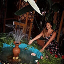 ���������� ������-��-����, ���� ������� ������, 31 ���, ������������ ��� ����� � ���������, c�������� ���������