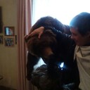 ���������� �����, ���� ������� �����, 37 ���, ������������ ��� ������, ����� � ���������