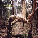 ���������� �������, ���� ������� Asror, 40 ���, ������������ ��� ������, ����� � ���������, c�������� ���������