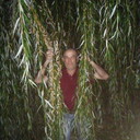  ,   , 51 ,   ,   , c , 