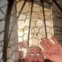 ���������� ���������, ���� ������� ������, 54 ����, ������������ ��� ������, ����� � ���������