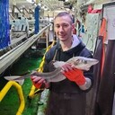  -,   , 31 ,   ,   , c 