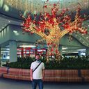  Mimarsinan,   Farukh, 28 ,   ,   