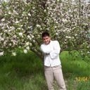  ,   Kiss, 37 ,   ,   , c 