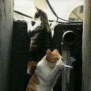 ���������� ����, ���� ������� Kenan, 30 ���, ������������ ��� ������