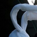 ���������� ���������, ���� ������� ������, 47 ���, ������������ ��� ������, ����� � ���������, c�������� ���������