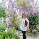  ,   , 65 ,  