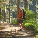 ���������� ��������������, ���� ������� ���������, 53 ����, ������������ 