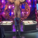 ���������� ������, ���� ������� ����, 37 ���, ������������ ��� ������, ����� � ���������