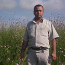  ,   , 50 ,   
