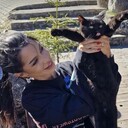 ���������� ���������, ���� ������� �������, 29 ���, ������������ ��� ������, ����� � ���������, c�������� ���������, ���������